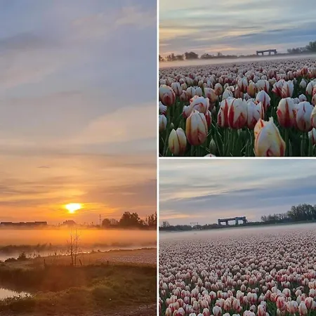 Risties Home, Dichtbij Stad, Stand& Natuur Alkmaar